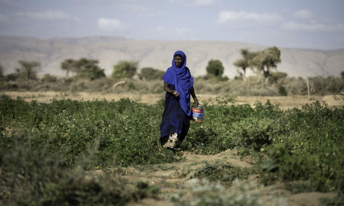 Hudon is part of Oxfamâs arable farming project in Ethiopia, helping pastoralists who have been struggling with drought, to diversify their source of income. Credit: Kieran Doherty / Oxfam