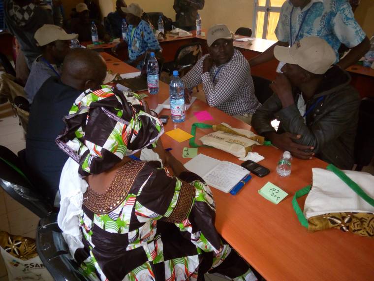 Insights from the Transformative Scenario Planning Workshop in Mali