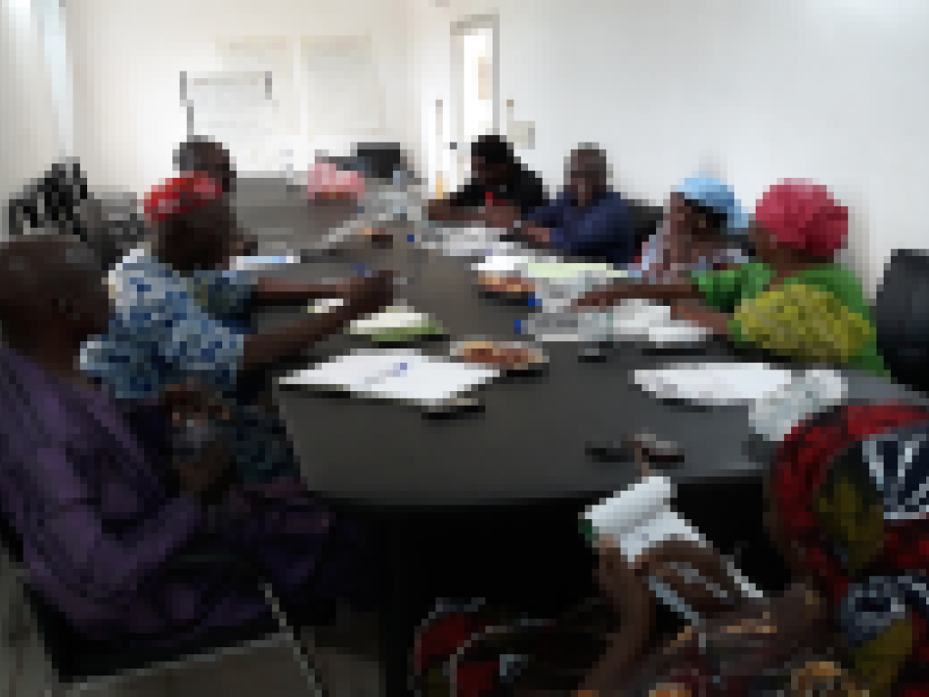 Looking back on the Transformative Scenario Planning process in Mali