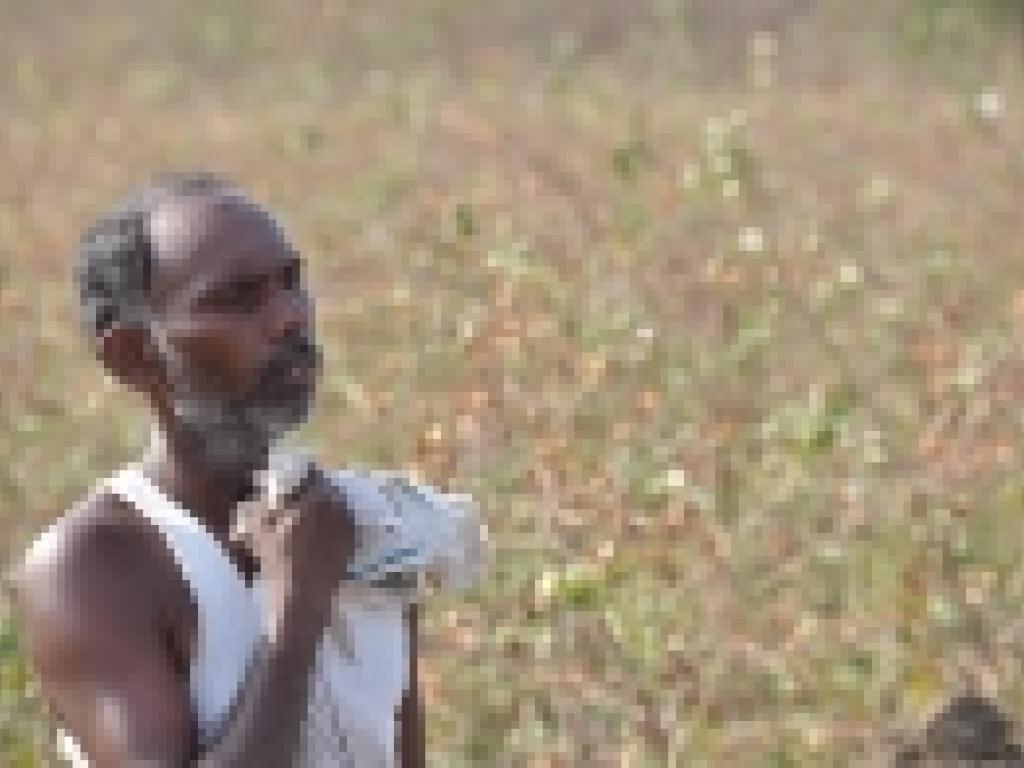 Vulnerability to heat stress: A case study of Yavatmal, Maharashtra, India