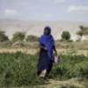From climate science to climate action